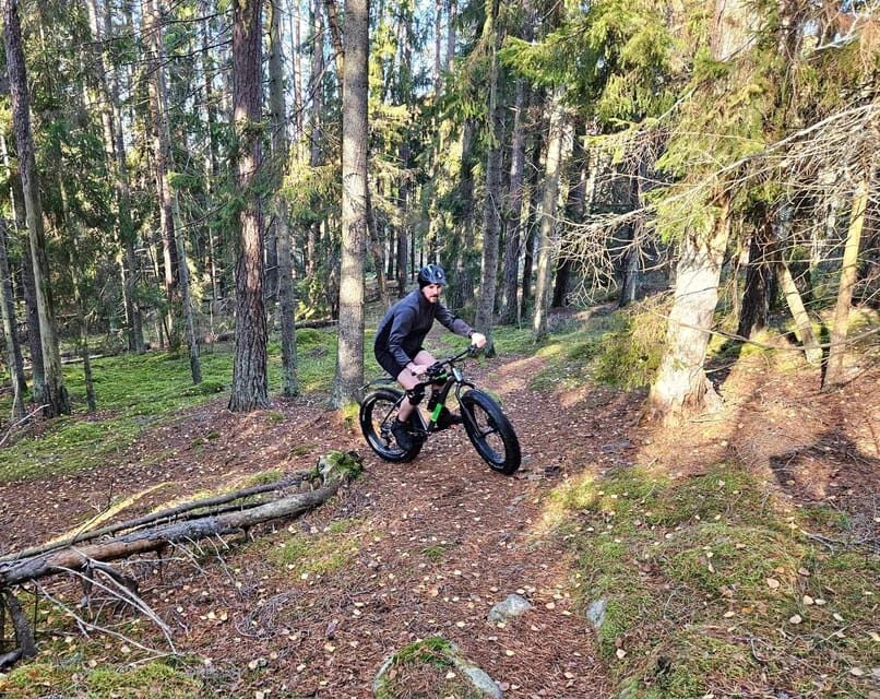 Stockholm: Fat Bike Forest Adventure with Lunch and Sauna - Small group coaching you’ll feel on the trails