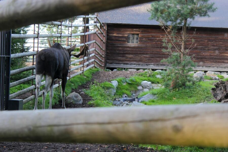 Stockholm: Personalized Guided Tour for Families - Skansen Open-Air Museum and Up-Close Nordic Animals