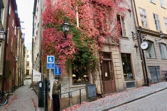 Stockholm Private Group Walking Tour | 3 Hours - Walking Stockholm from Södermalm toward the historic core