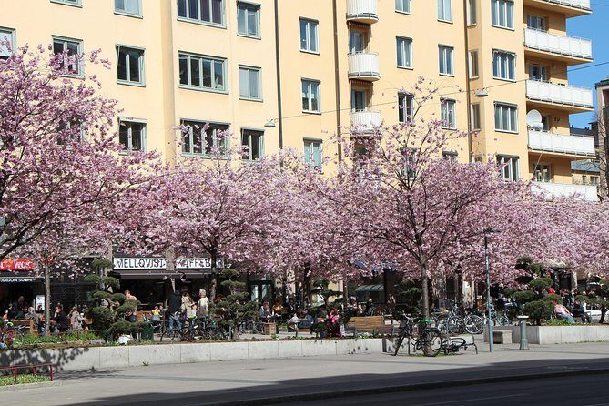 Stockholm Private Tour with a Local: Hip & Bohemian Sodermalm 3hr - Södermalm on foot, starting at Nytorget Square