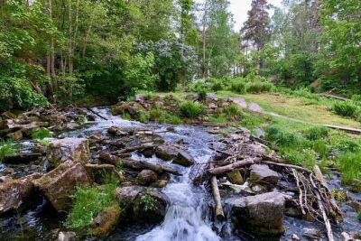 Stockholm: Sunset Hike in Tyresta National Park with Meal - Getting there from Gullmarsplan: simple start, real change of scenery
