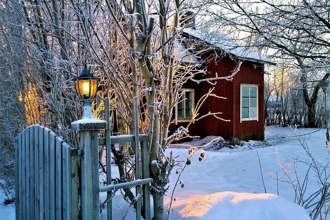Stockholm's Festive Sights And Christmas Lights - Who This Tour Fits Best (and When to Skip It)