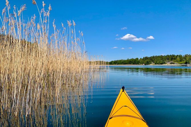 Sunset Kayak Tour in the Stockholm Archipelago + Swedish Fika - How the Small Group (Max 8) Changes Everything