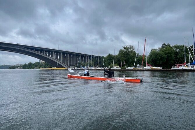 Winter Kayak Tour in Stockholm City (Dry Suit Kayaking) - Who this tour is best for (and who should reconsider)