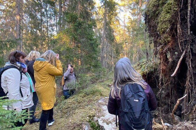 Wolf and Wildlife Tracking in Sweden - Key highlights from this wolf tracking experience