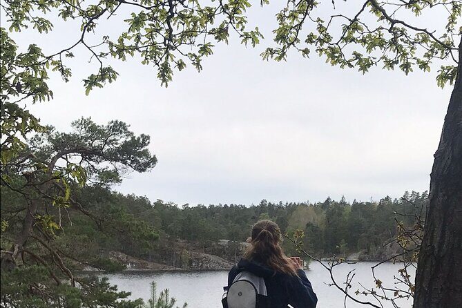 Wolf and Wildlife Tracking in Sweden - Wolves Are Wild Here: What Your Time Actually Feels Like